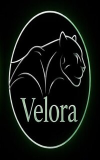 Шлюха Velora 56319