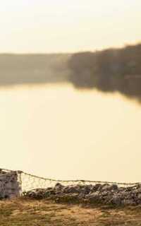 Шлюха Нелли 48627