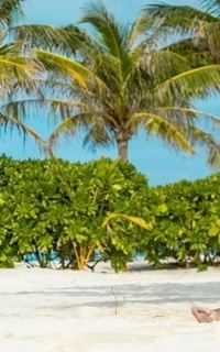 Шлюха Лика 49917